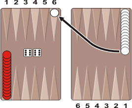 How to play Fly Backgammon: complete guide